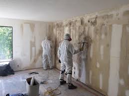 Why You Should Choose Our Mold Remediation Services in Elkton, MD